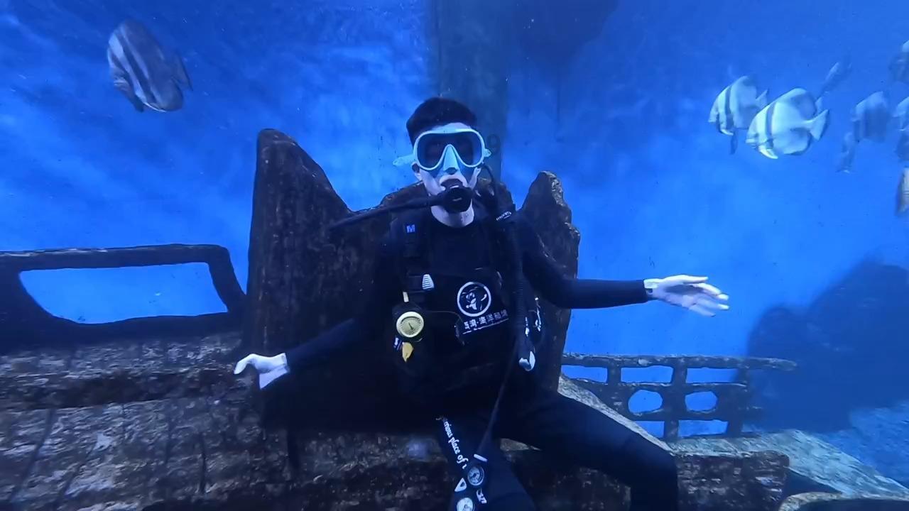 海底的秘密